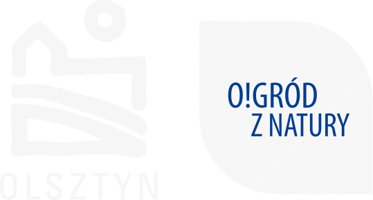 Logo Miasta Olsztyna