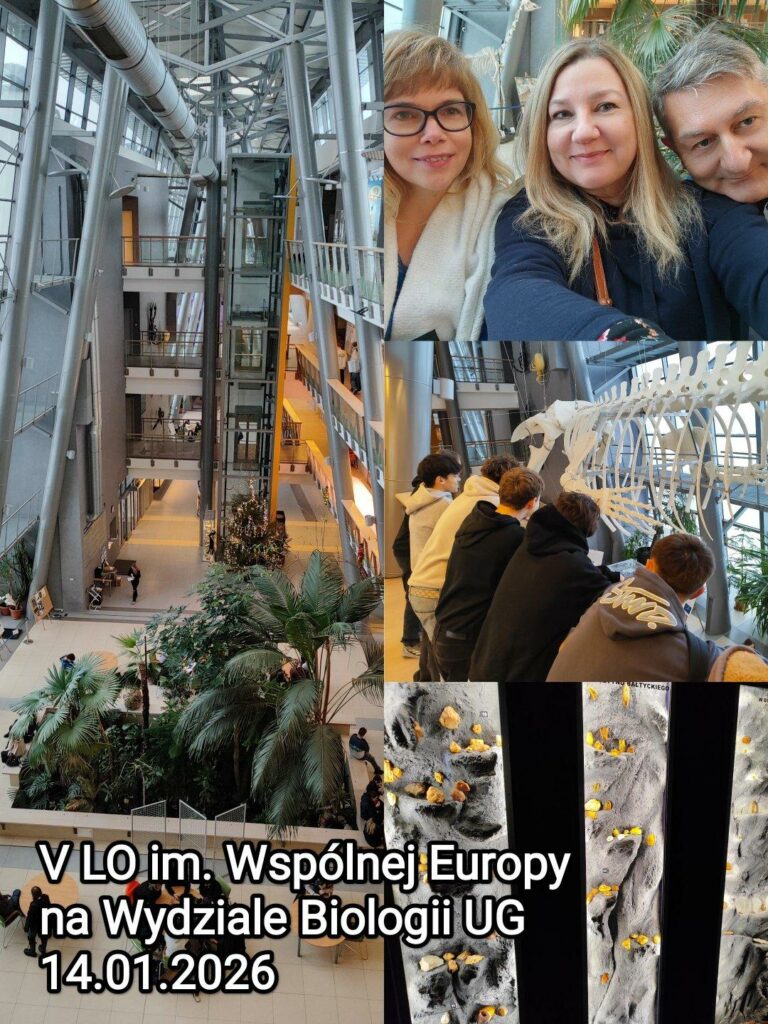 Od biologii po sztukę