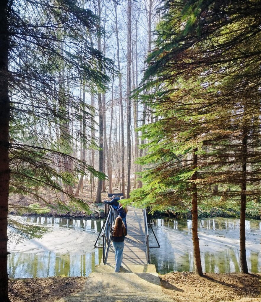 Wizyta w Herbinarium — ziołowa moc w praktyce